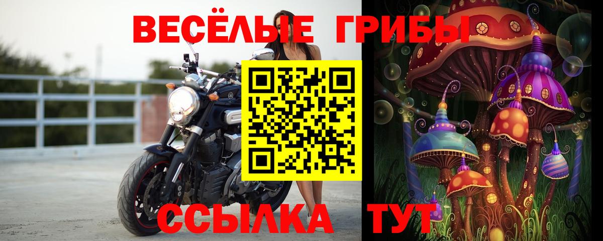 Галлюциногенные грибы ЛСД Чапаевск