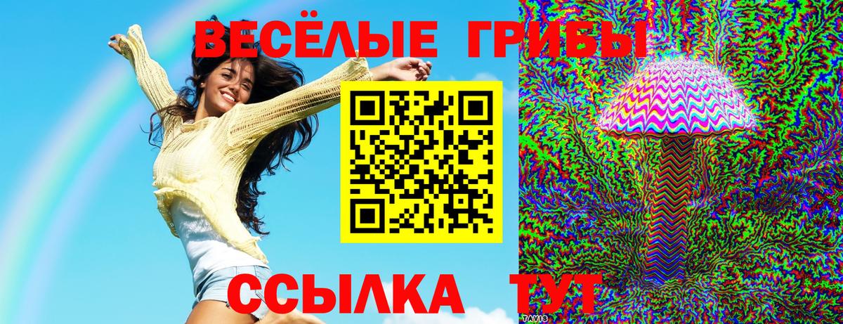 Галлюциногенные грибы Psilocybine cubensis  Псилоцибиновые грибы мицелий  Чапаевск  купить наркотик  Вход с VPN 